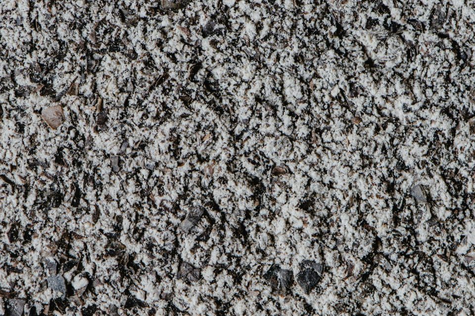 pexels-eva-bronzini-6086853