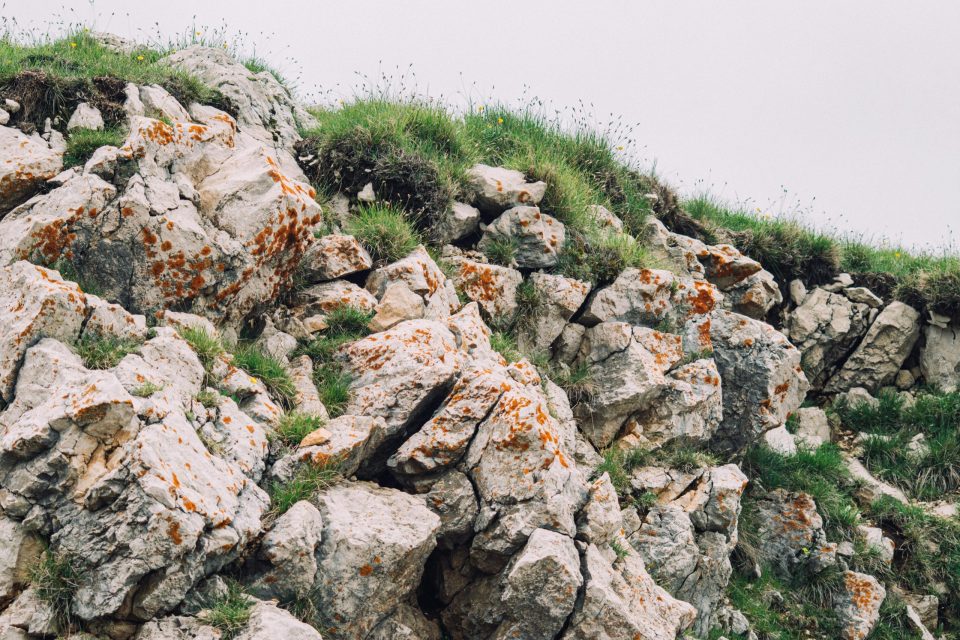 pexels-ionelceban-19757350